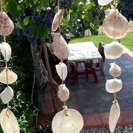Lavender View Luxury House Holiday home Nea Kallikrateia
